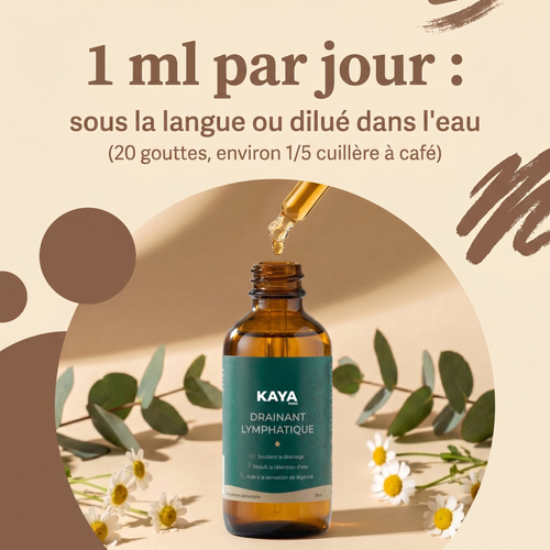 DRAINANT LYMPHATIQUE